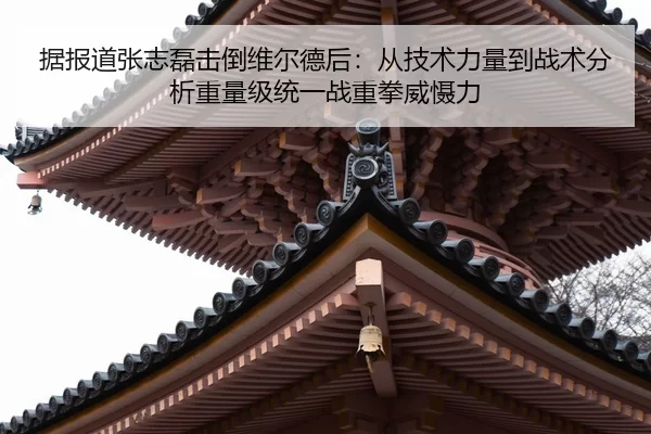 据报道张志磊击倒维尔德后：从技术力量到战术分析重量级统一战重拳威慑力
