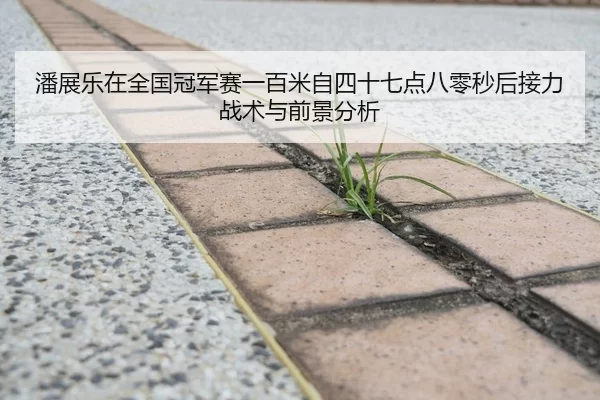 潘展乐在全国冠军赛一百米自四十七点八零秒后接力战术与前景分析
